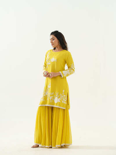 Yellow Embroidered Sharara Set