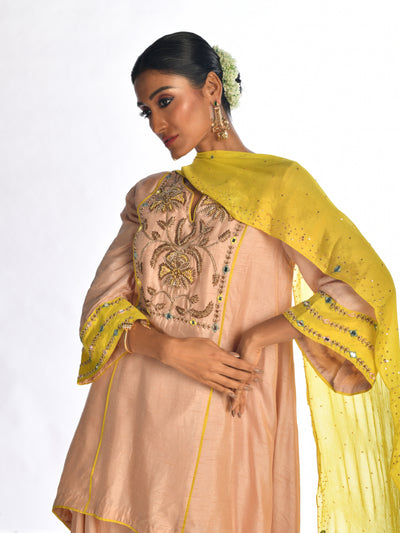 Brown Embroidered Sharara  Set